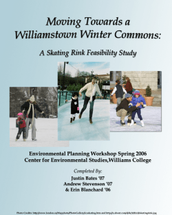 A Skating Rink Feasibility Study