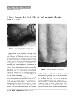 A Traveler Returning from South Africa with Rash and Genital