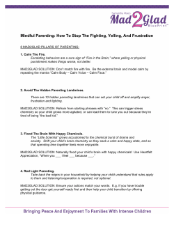 Mindful Parenting: How To Stop The Fighting, Yelling, And Frustration