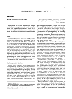 Babesiosis