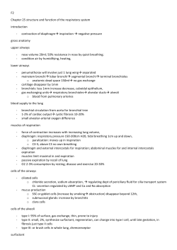 F2 Chapter 25 structure and function of the respiratory system