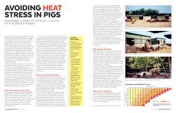 AVOidiNg heAT STreSS iN pigS