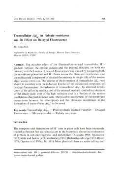 Transcellular Au+ in Valonia ventricosa and Its Effect on Delayed