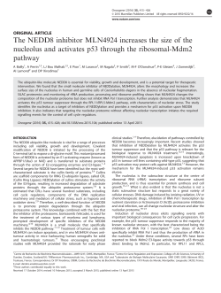 The NEDD8 inhibitor MLN4924 increases the size of the nucleolus