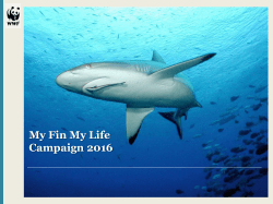 My Fin My Life Campaign 2016