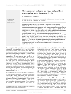 Flavobacterium indicum sp. nov., isolated from warm spring water in