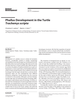 Downloaded - EvoDevo at the University of Florida