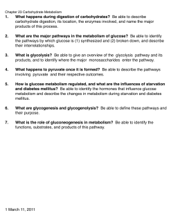 1. What happens during digestion of carbohydrates? Be able to