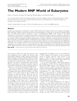 The Modern RNP World of Eukaryotes