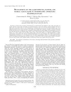Floral Development in Commelinaceae
