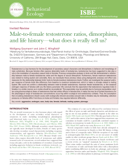 Male-to-female testosterone ratios, dimorphism