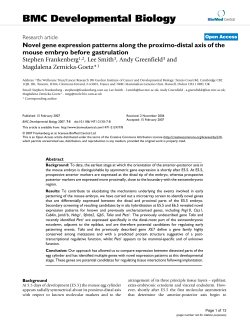 Novel gene expression patterns along the proximo