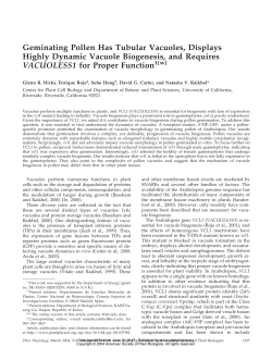 Geminating Pollen Has Tubular Vacuoles