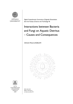 Interactions between Bacteria and Fungi on Aquatic Detritus