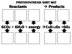 6CO2 + 6H2O + energy &rarr;C6H12O6 +6O2 Reactants &rarr; Products