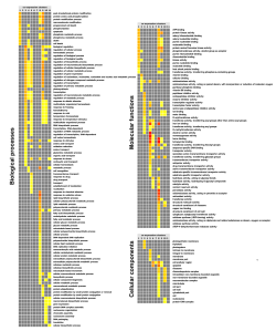 Biological processes Molecular functions Cellular components
