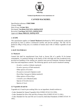 Canned Mackerel: Food specification