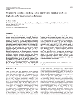 Functions of Gli proteins - Development