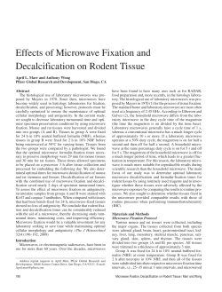 Effects of Microwave Fixation and Decalcification on Rodent Tissue