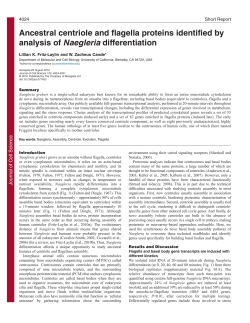 Ancestral centriole and flagella proteins identified by analysis of