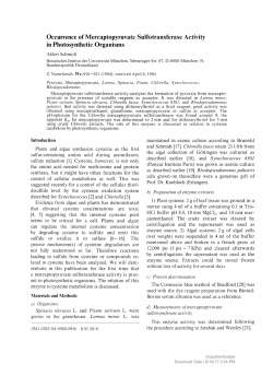 Occurrence of Mercaptopyruvate Sulfotransferase