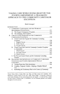 A Pragmatic Approach to the Community Caretaker