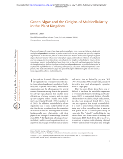 Green Algae and the Origins of Multicellularity in the Plant Kingdom