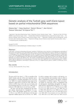 Genetic analysis of the Turkish gray wolf (Canis lupus) based on