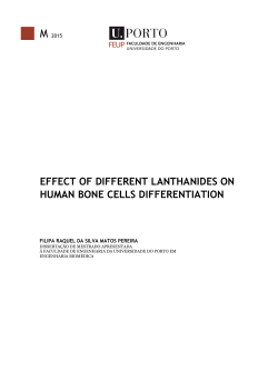 effect of different lanthanides on human bone cells differentiation