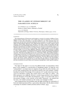 the classes of endosymbiont of paramecium aurelia