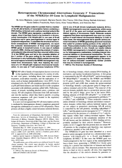 Heterogeneous Chromosomal Aberrations Generate