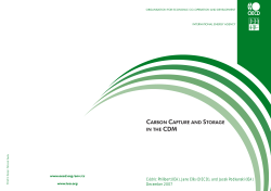 Carbon Capture and Storage in the CDM