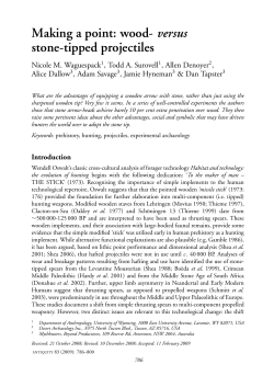 Making a point: wood- versus stone-tipped projectiles