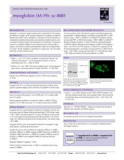 Datasheet Blank Template - Santa Cruz Biotechnology