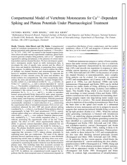 Compartmental Model of Vertebrate Motoneurons for Ca2