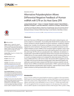 Alternative Polyadenylation Allows Differential Negative Feedback