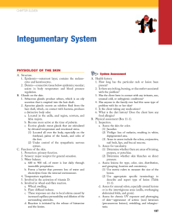 Integumentary System