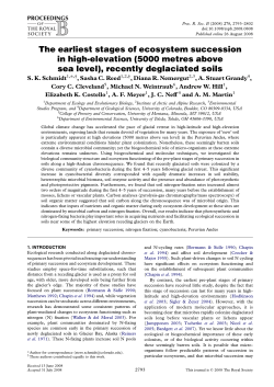 The earliest stages of ecosystem succession in high