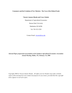 Consumers and the Evolution of New Markets: The Case of the