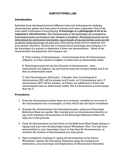 KARYOTYPING LAB