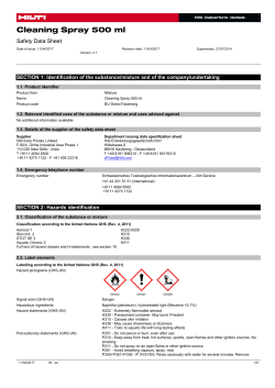 Cleaning Spray 500 ml