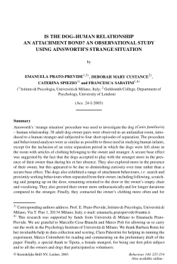 Is the dog-human relationship an attachment bond?