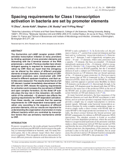 Spacing requirements for Class I transcription