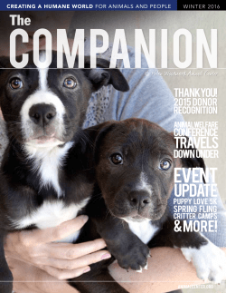 Creating a Humane World for Animals