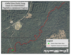 Alafia River North Prong Vegetation Assessment Summary Reach