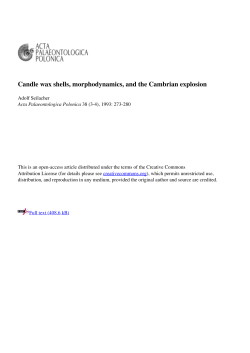 Candle wax shells, morphodynamics, and the Cambrian explosion