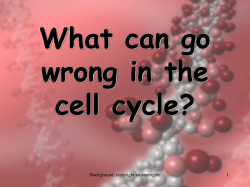 Cell Cycle errors