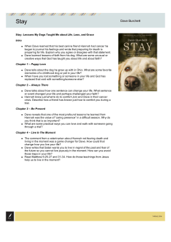 Stay Discussion Guide