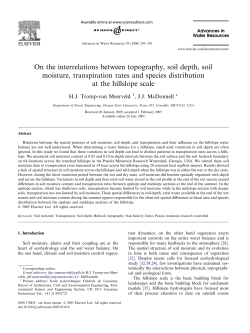 On the interactions between the spatial patterns of topography, soil