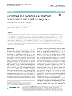 Connexins and pannexins in neuronal